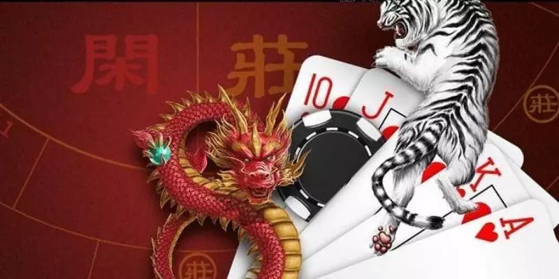 Cách Chơi Rồng Hổ Chuẩn - Bỏ Túi Và Học Cách Đánh Chuẩn Luật cơ bản khi tham gia